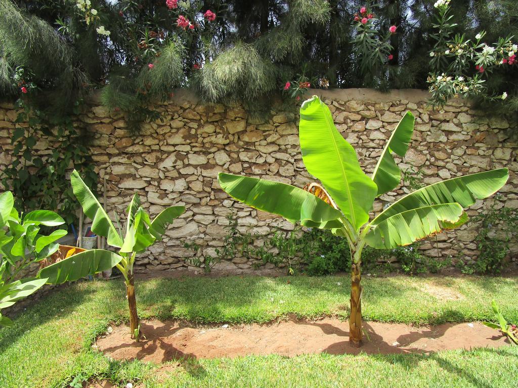 La Maison Des Ailleurs Esauira Exterior foto